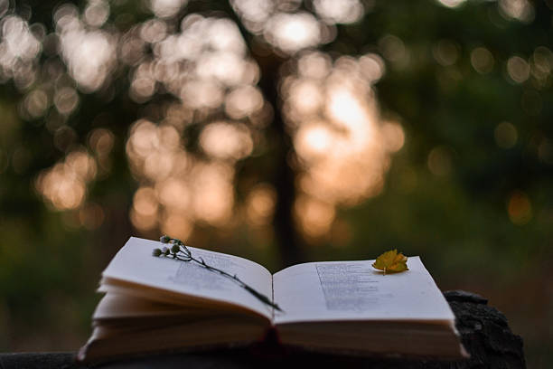 Poetry book in front of blurred sunset background