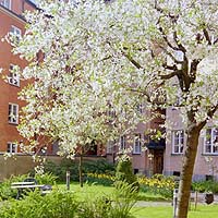 SIHM foton websida 2004 011